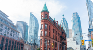 Study Abroad Connsultancy